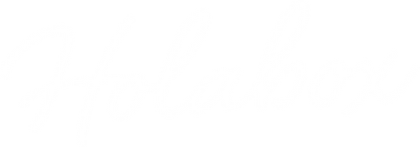 Holabox Logo